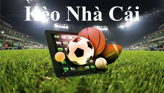 PUNT Sân chơi đổi thưởng cực chất không thể bỏ lỡ PUNT Sân chơi đổi thưởng cực chất không thể bỏ lỡ